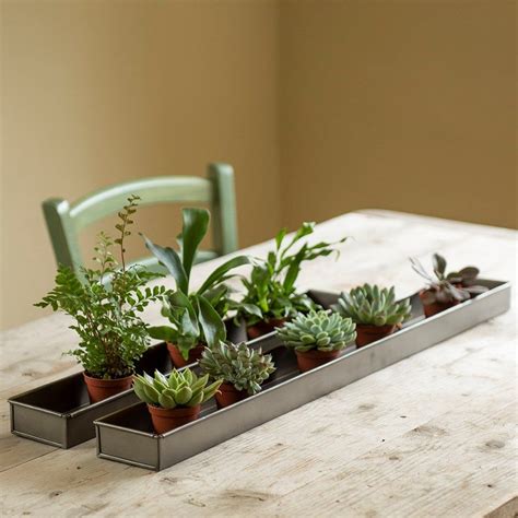 metal tray box|metal trays for plants.